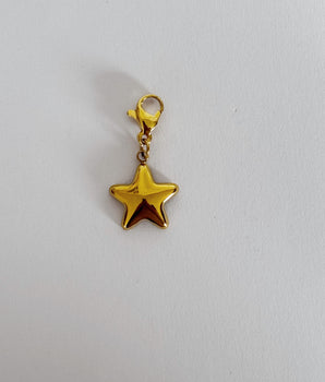 CHARM STAR