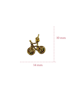 CHARM BICI