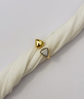 ANILLO DOBLE II