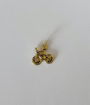 CHARM BICI