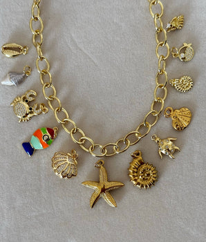 CHARM ALMEJA II