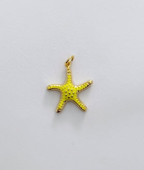 CHARM ESTRELLA