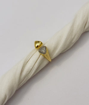 ANILLO DOBLE II