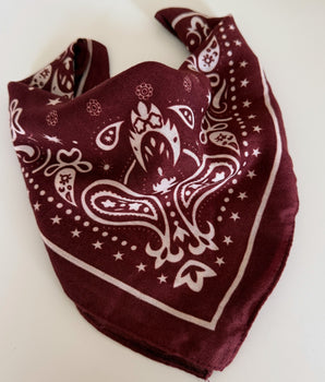 BANDANA COSMIC
