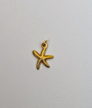 CHARM STARFISH